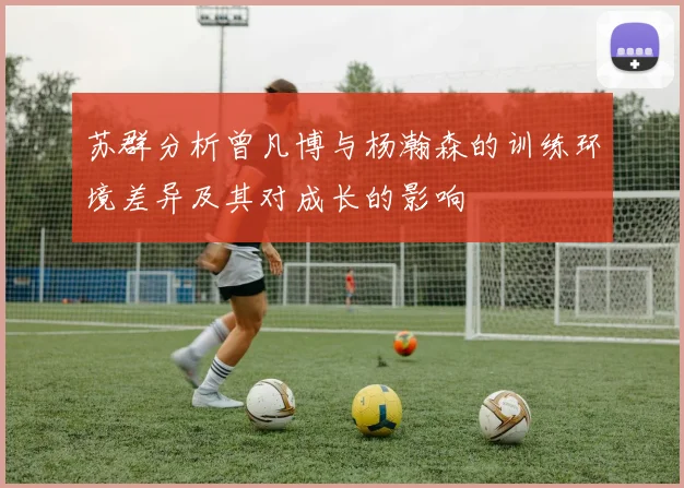 苏群分析曾凡博与杨瀚森的训练环境差异及其对成长的影响