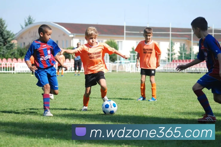 App Interface Preview